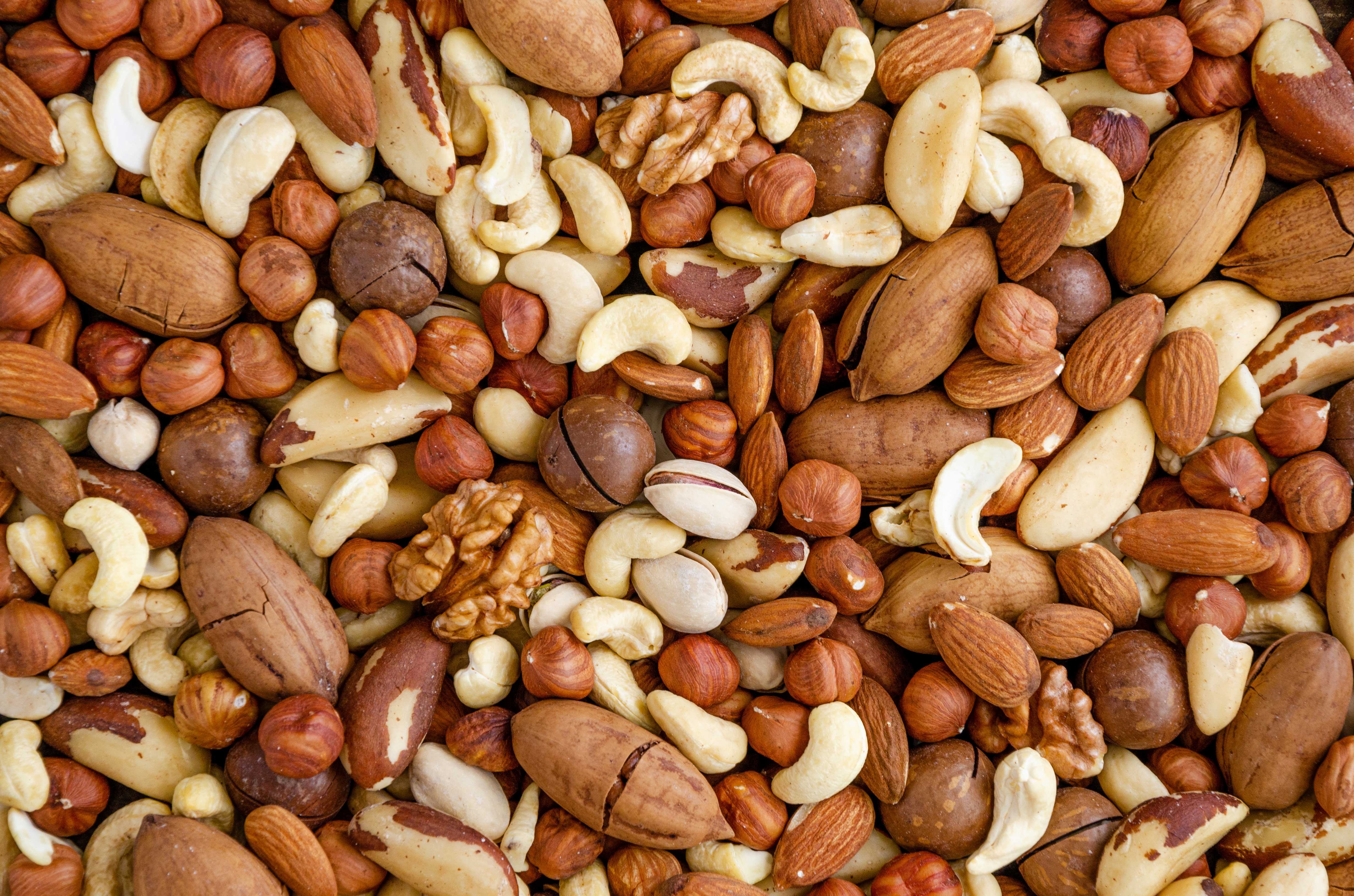 ARE DRY FRUITS FATTENING? Protella®
