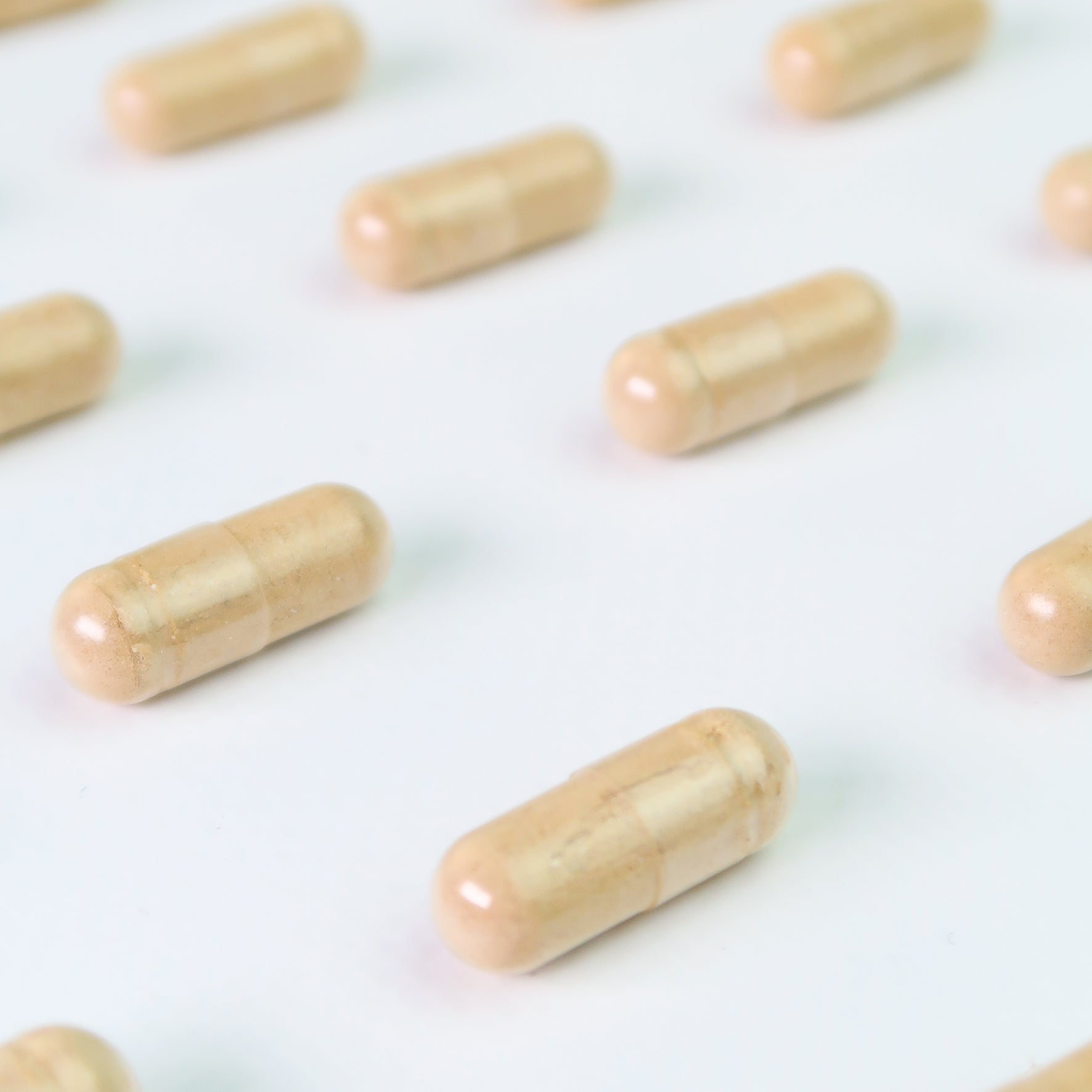 Ashwagandha KSM66 600mg - 60 Capsules - By Dr. Antelm Pujol