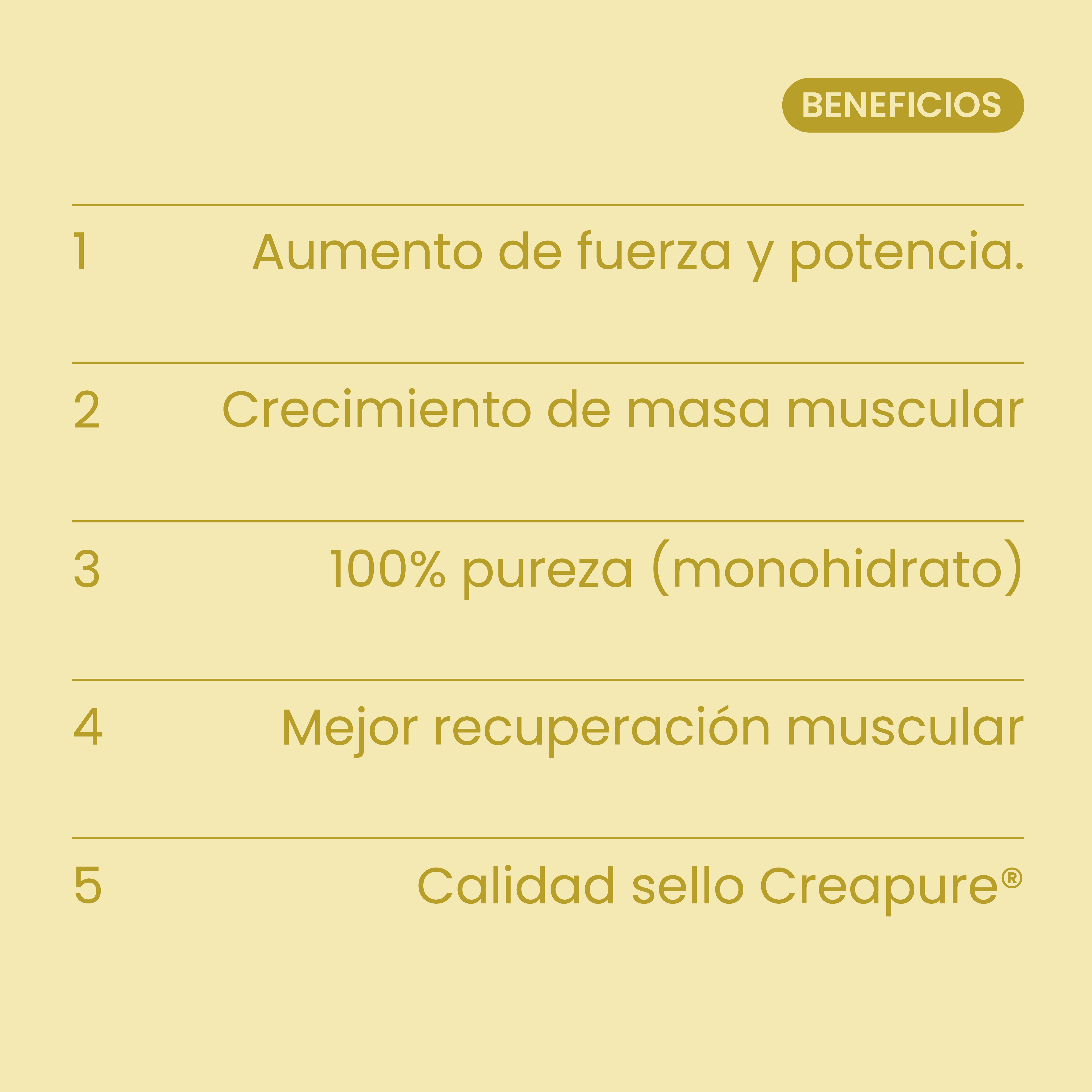 Creatine Creapure® Piña Colada 300g