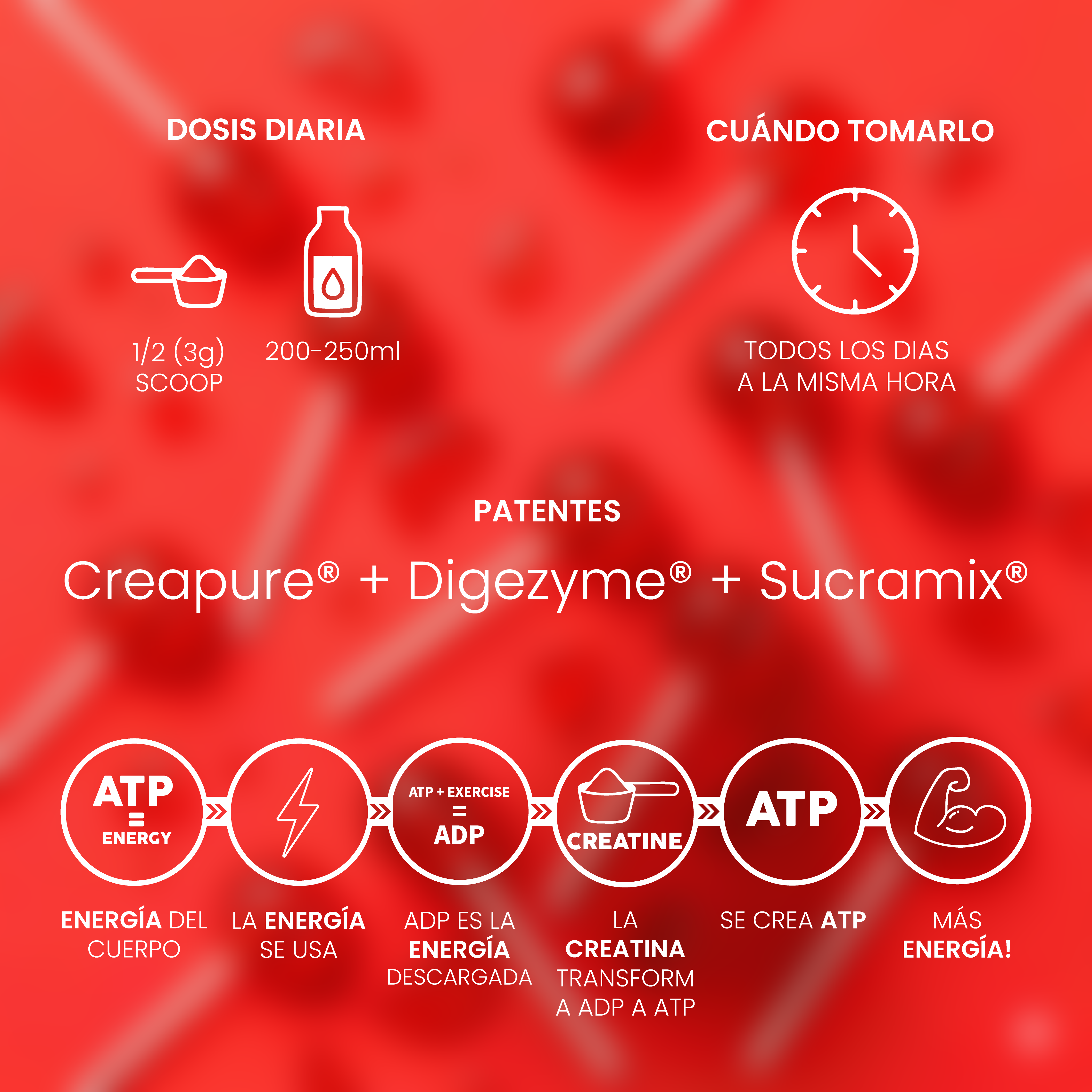 Creatina Creapure® Lollipop 300g