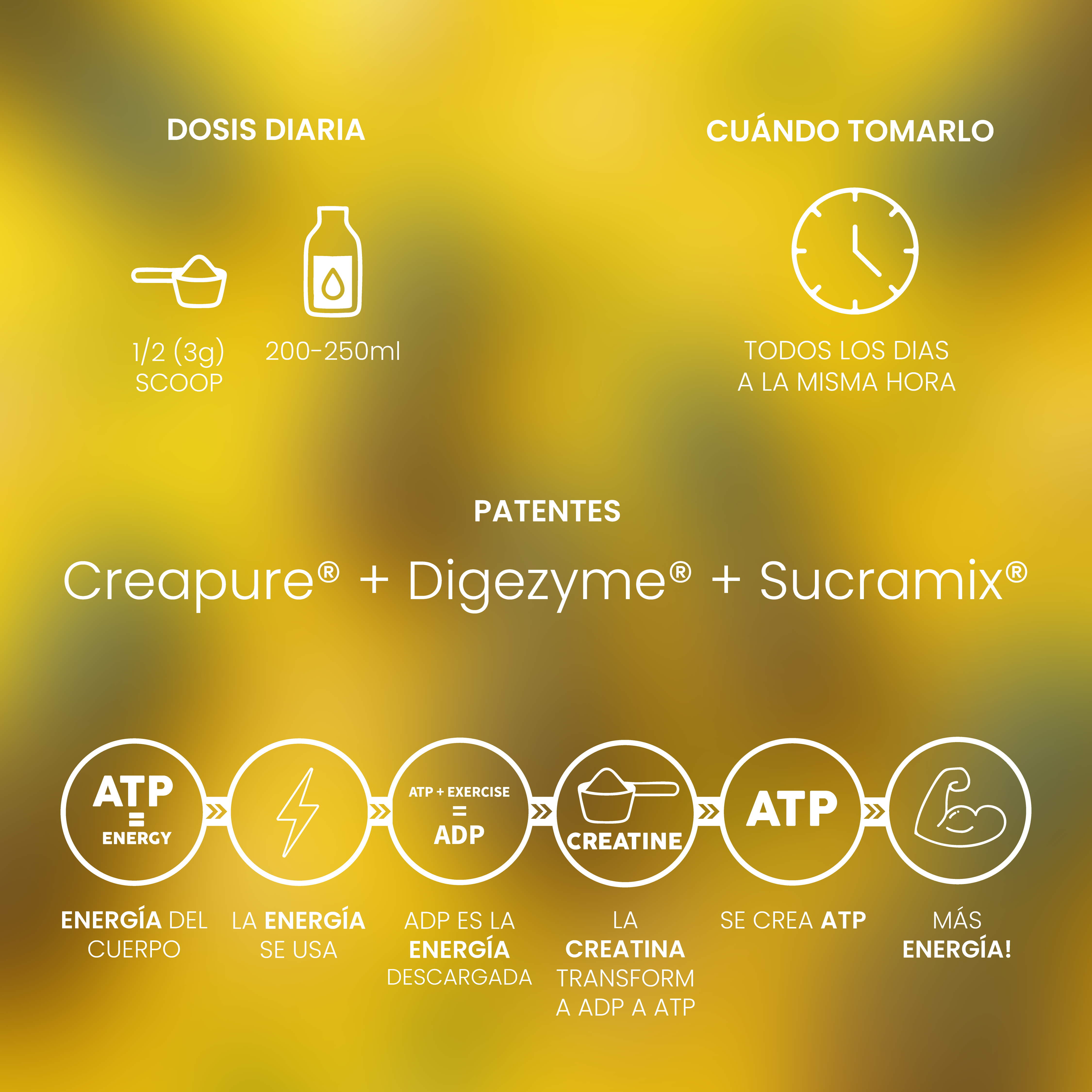 Creatina Creapure® 300g Protella 2 Creatina Creapure® Piña Colada 300g
