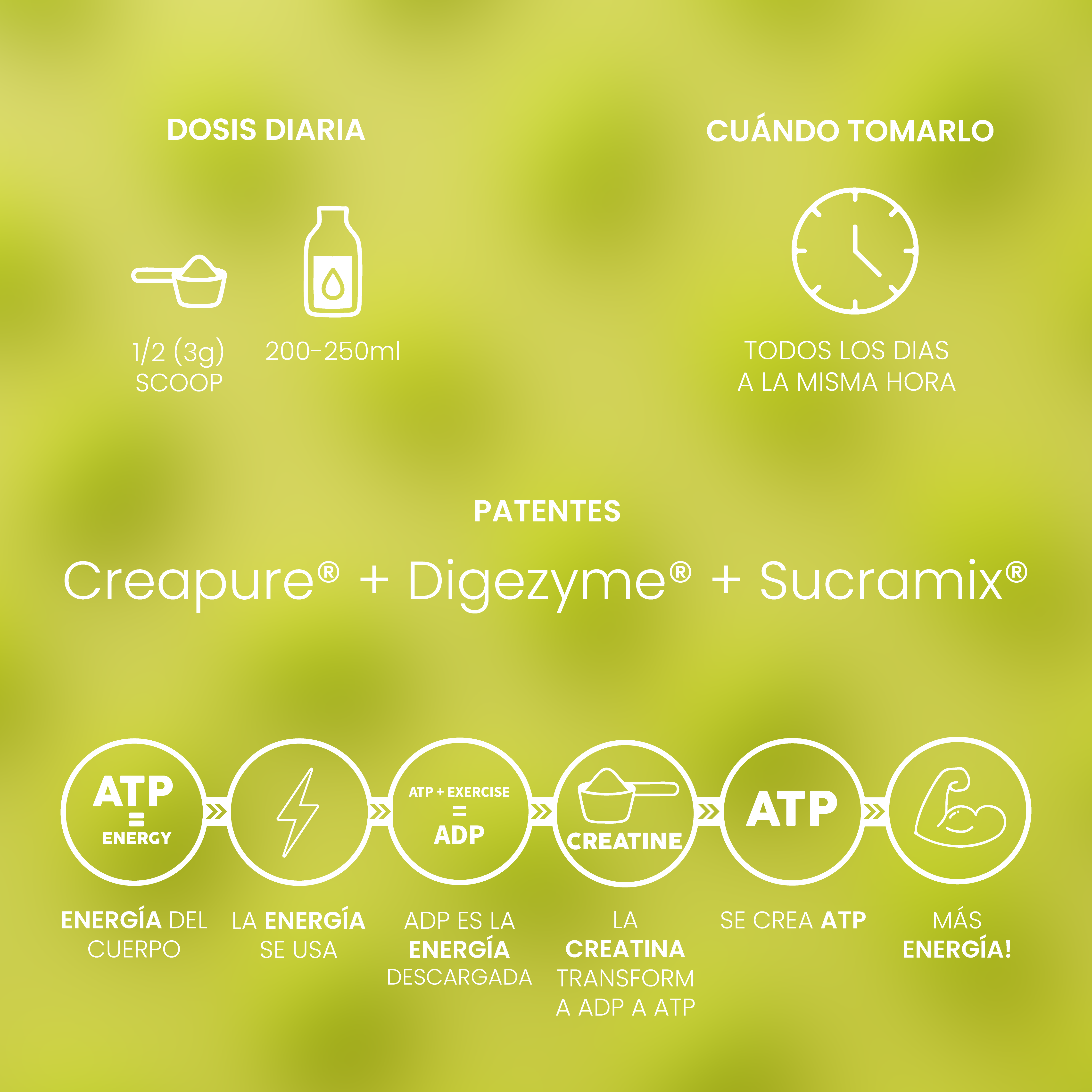 Creatina Creapure® Melon Gum 300g