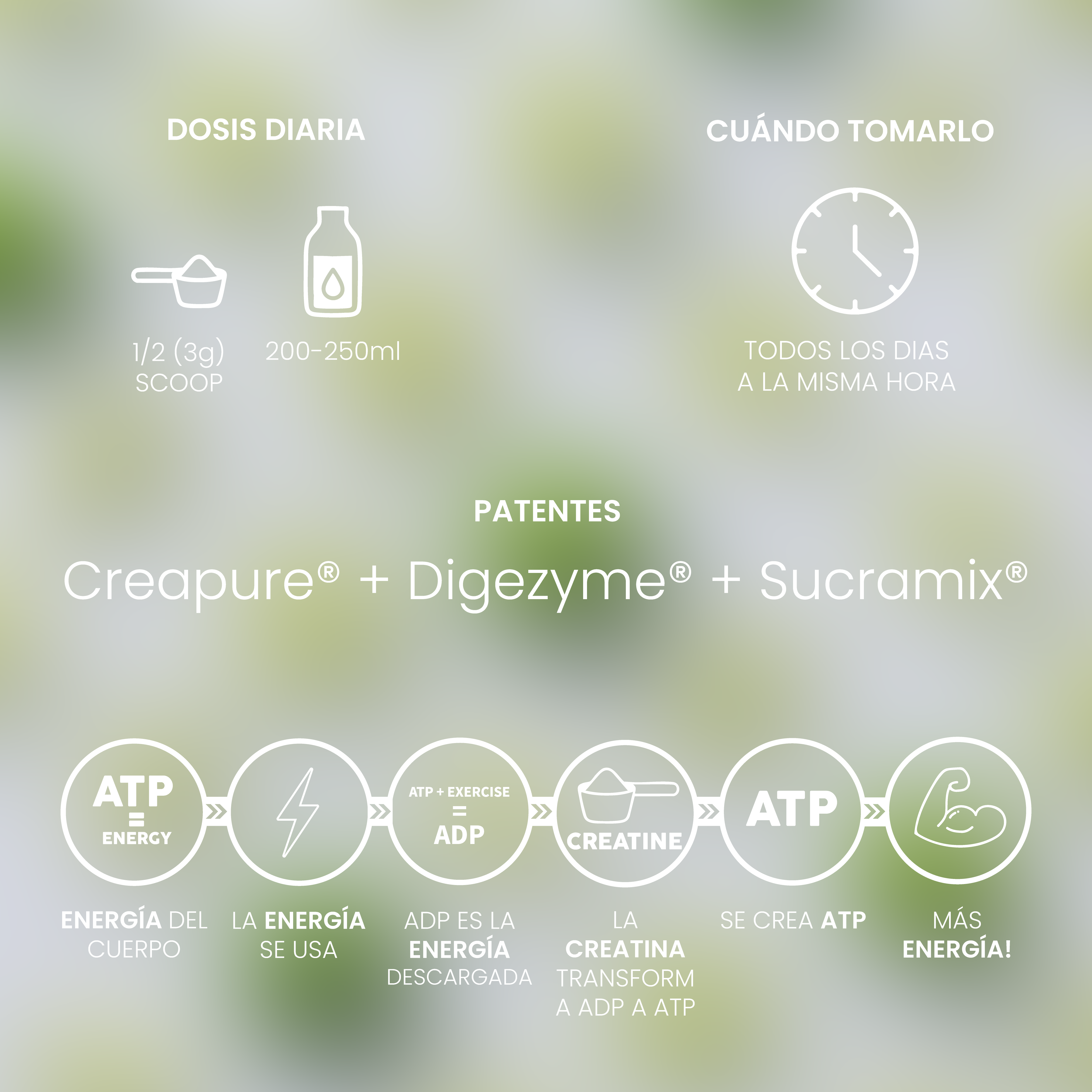 Creatine Creapure® To Go