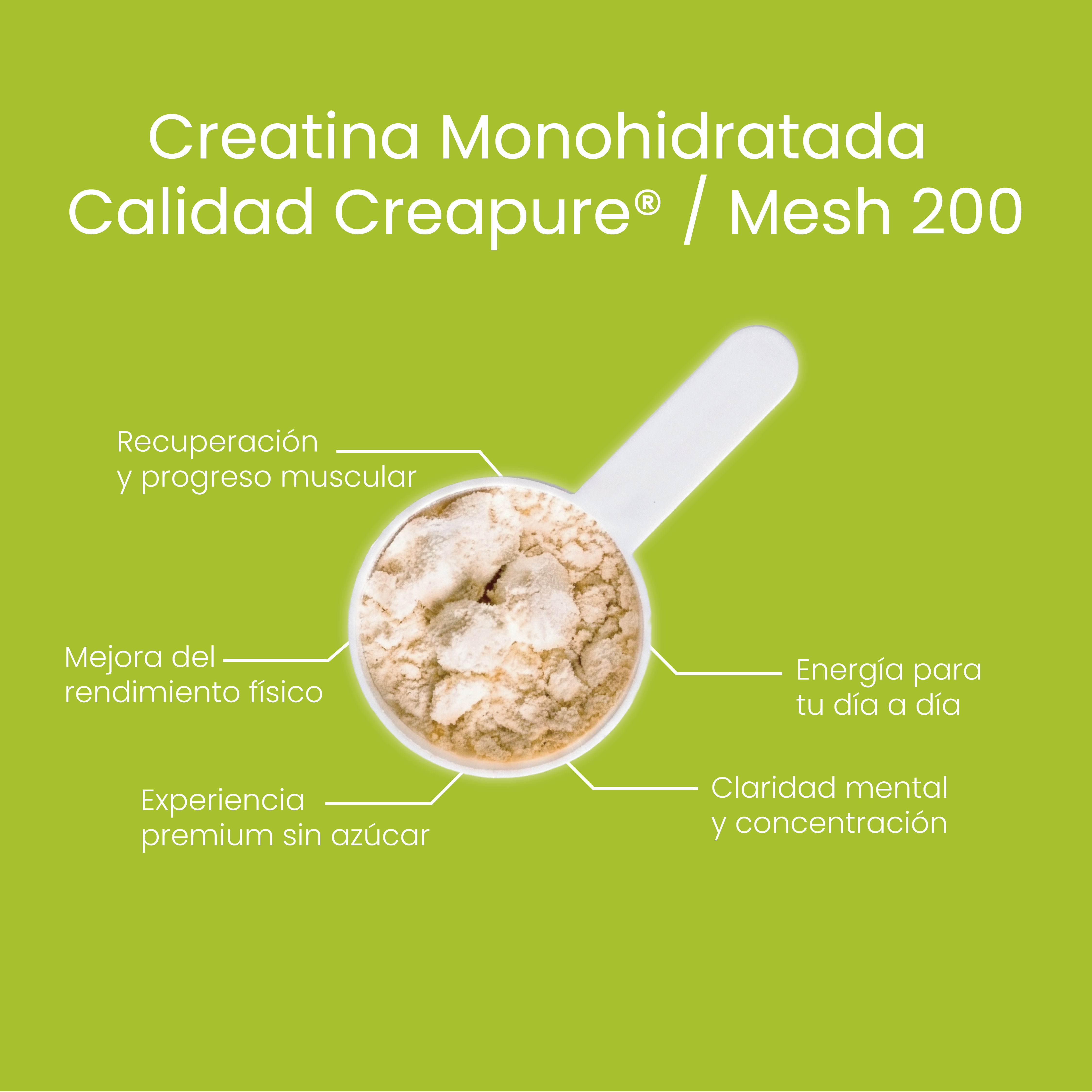 Creatine Creapure® Lollipop 300g