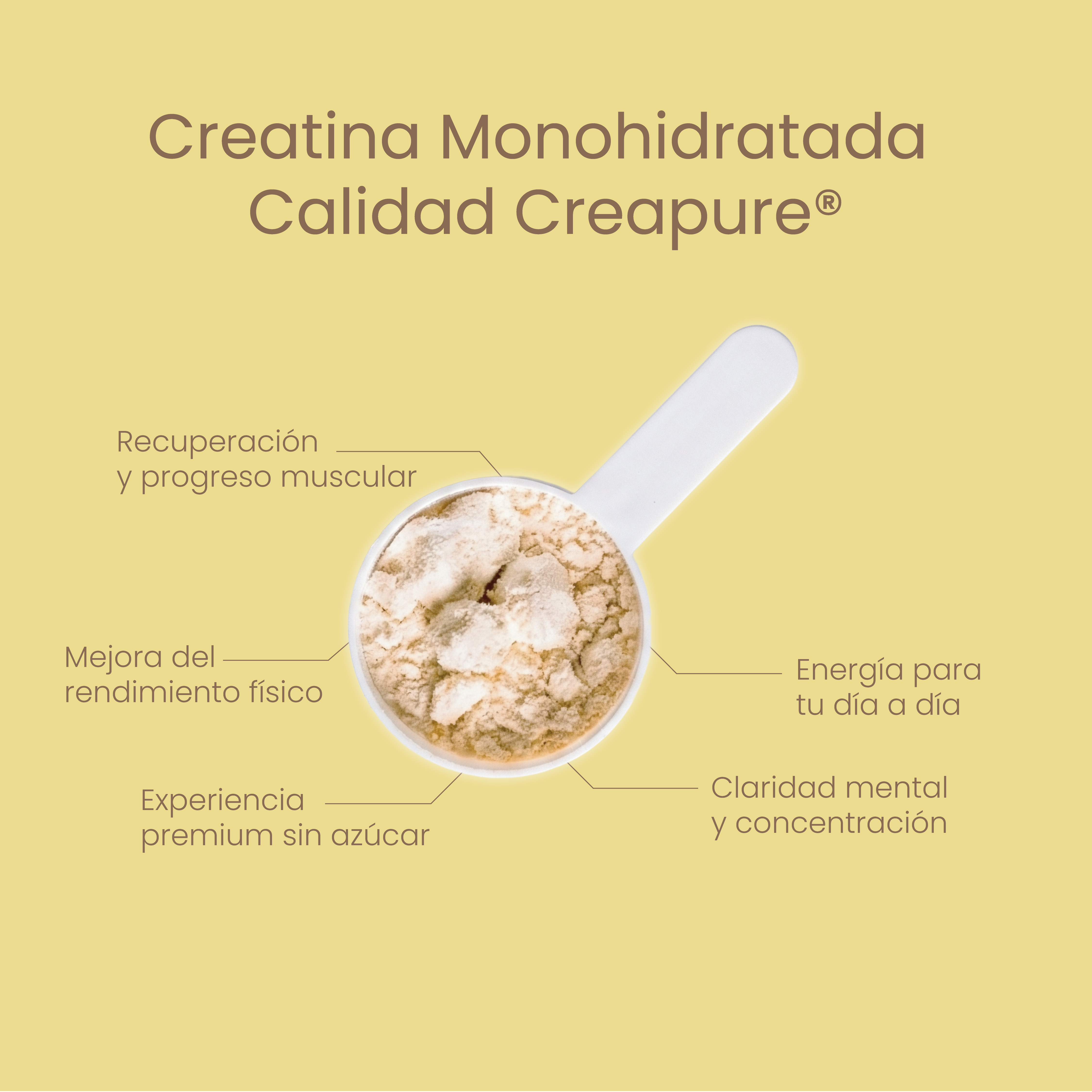 Creatine Creapure® Piña Colada 300g