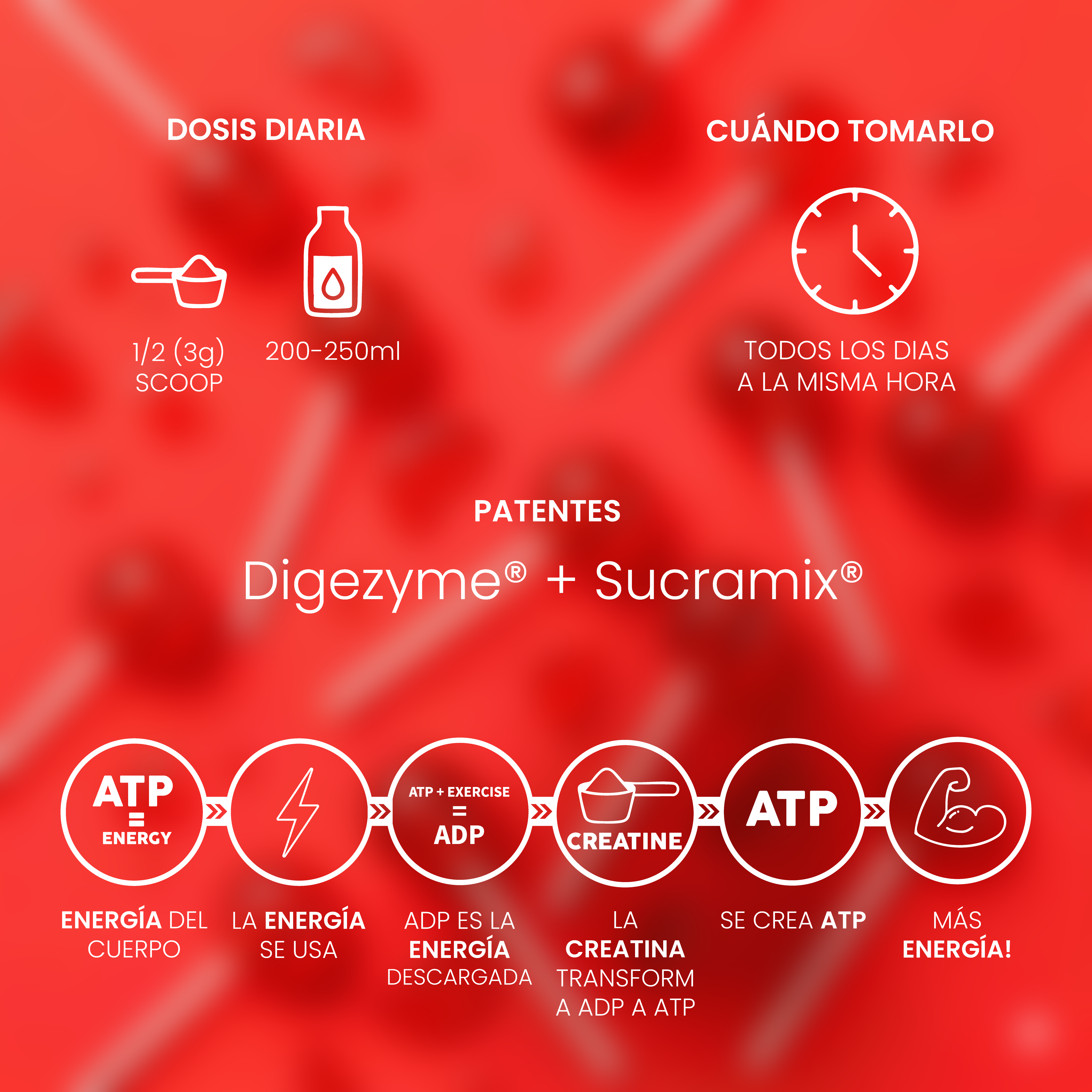 Creatina Mesh 200 Lollipop 300g