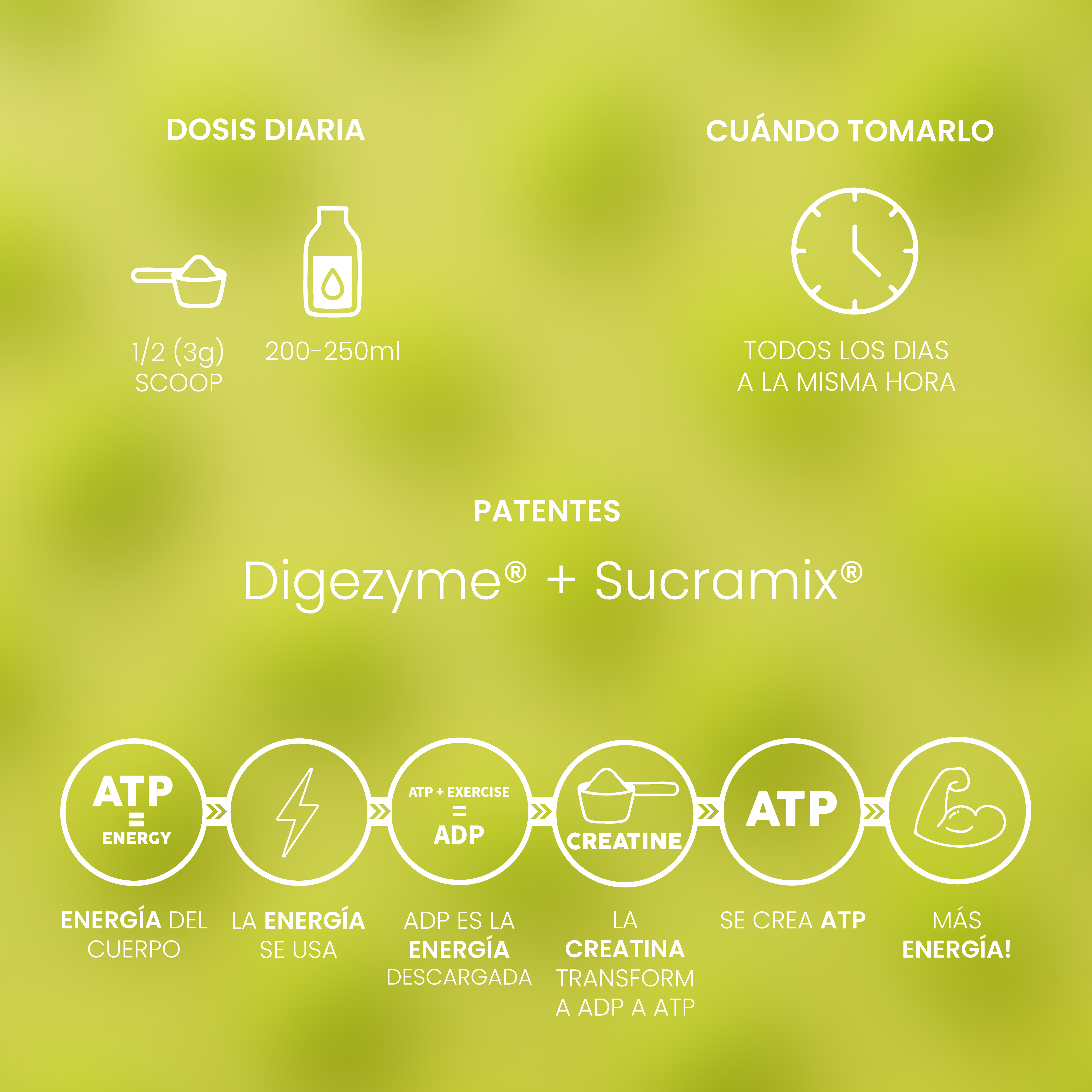 Creatina Mesh 200 Melon Gum 300g