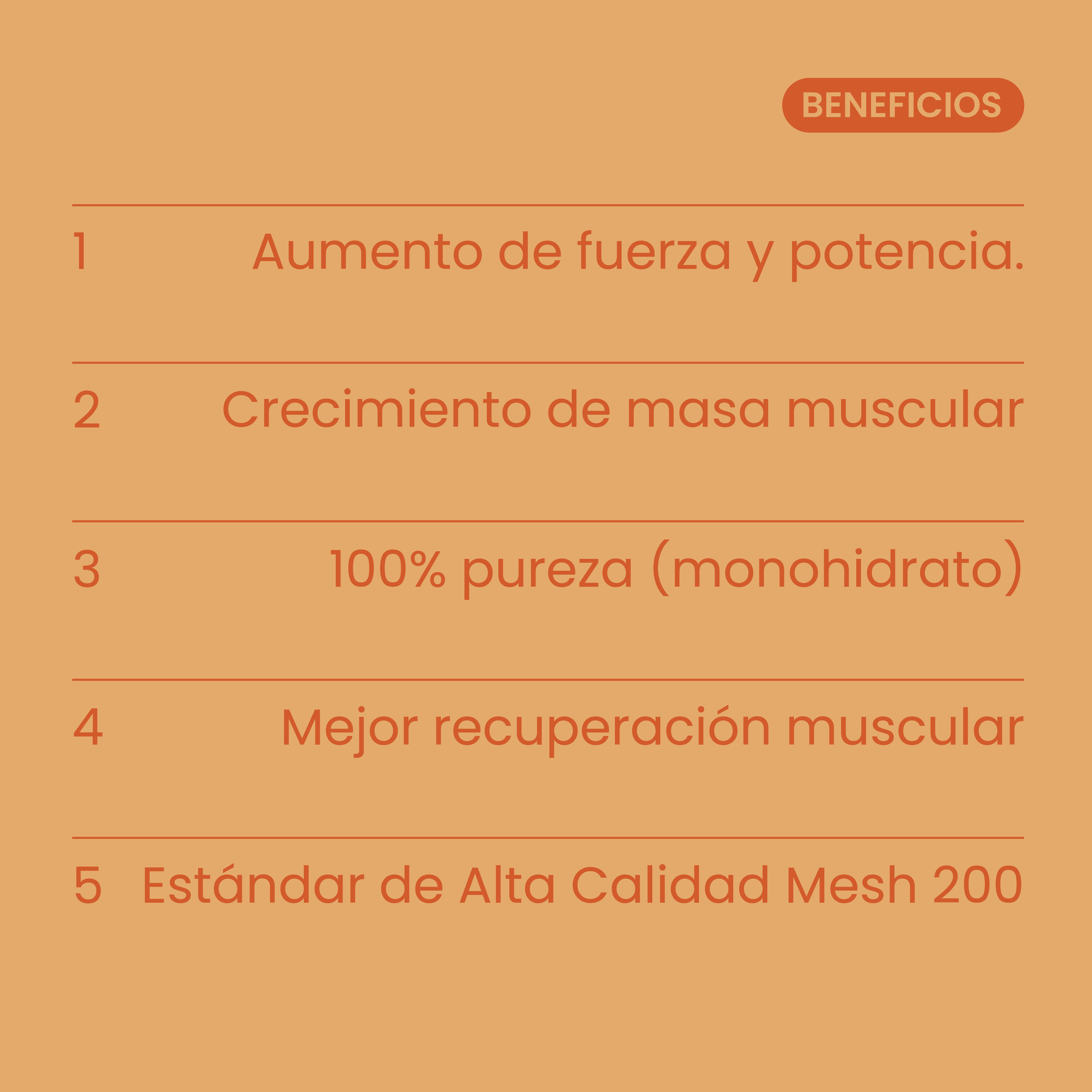 Creatina Mesh 200 Mango Rush 300g