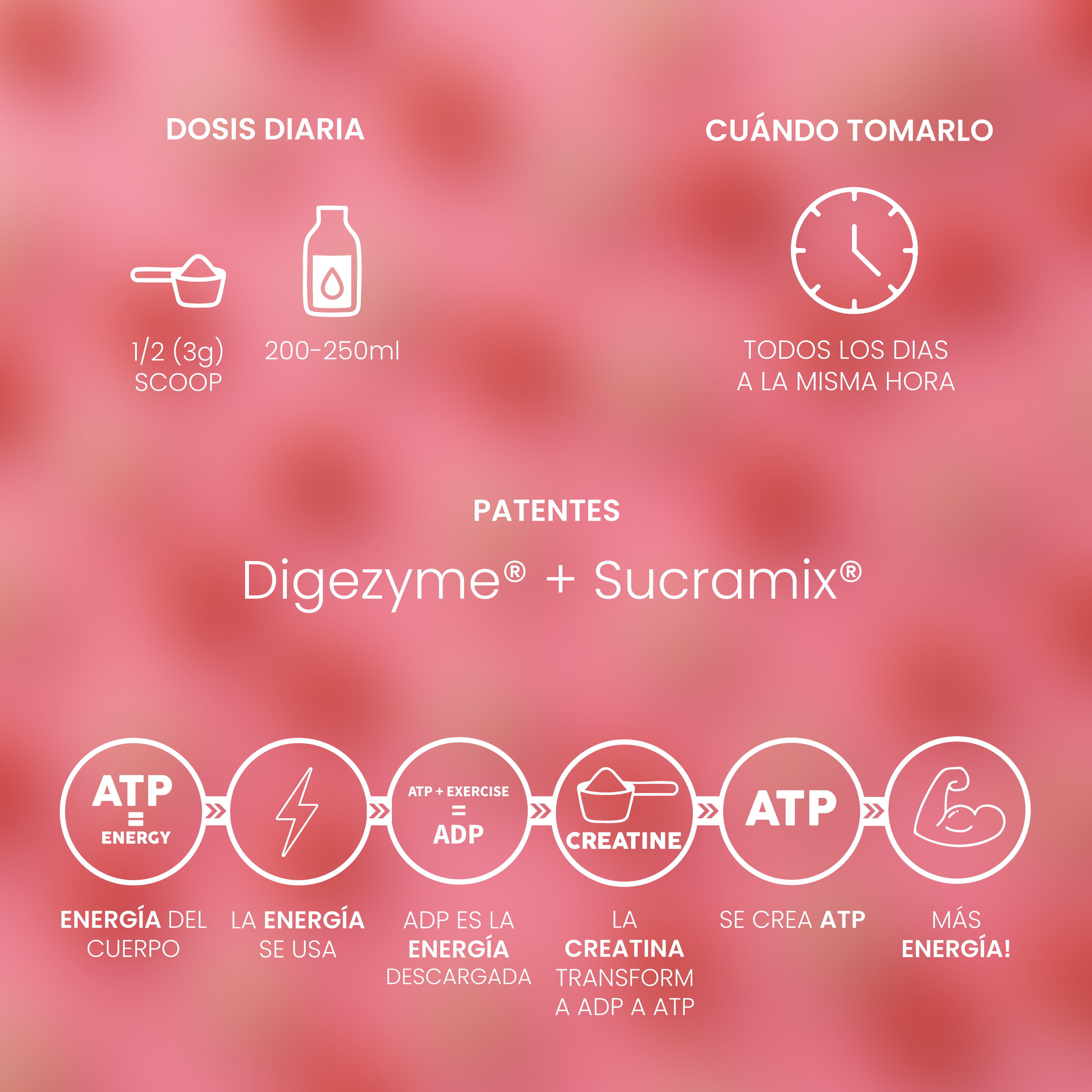 Creatina Mesh 200 Strawberry & Cream 300g