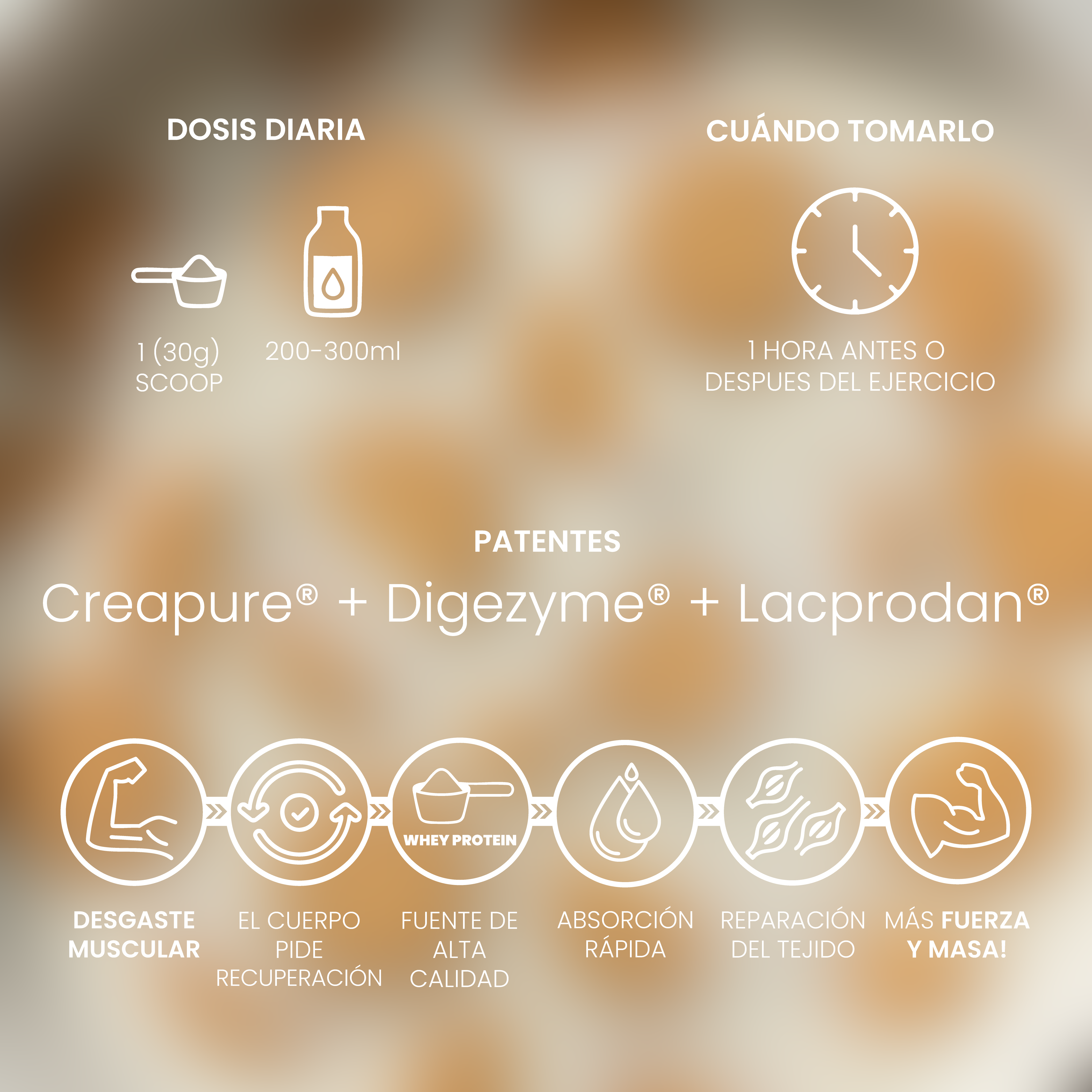 Whey Protein Cookie 1kg