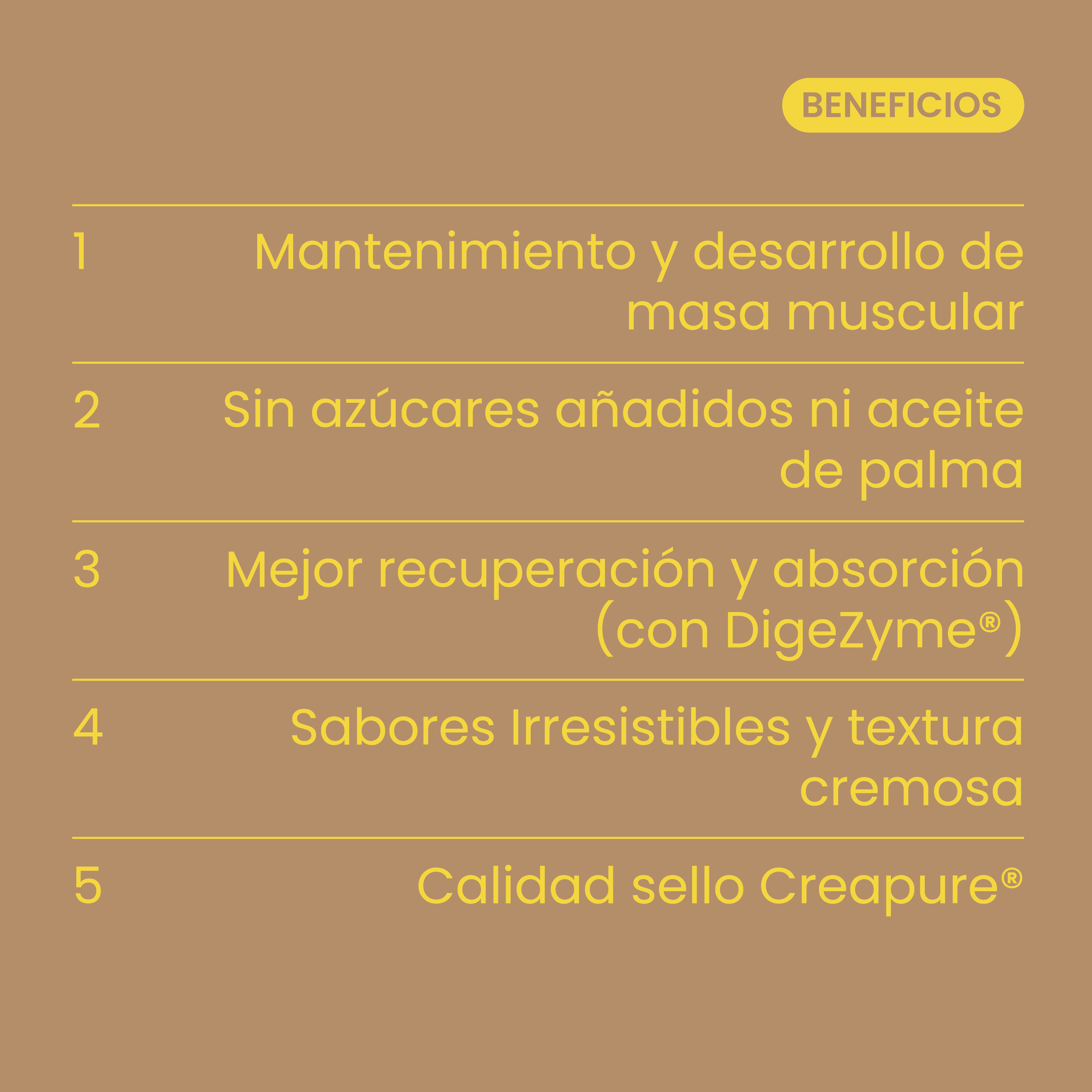 Whey Protein Choco Latte 1kg