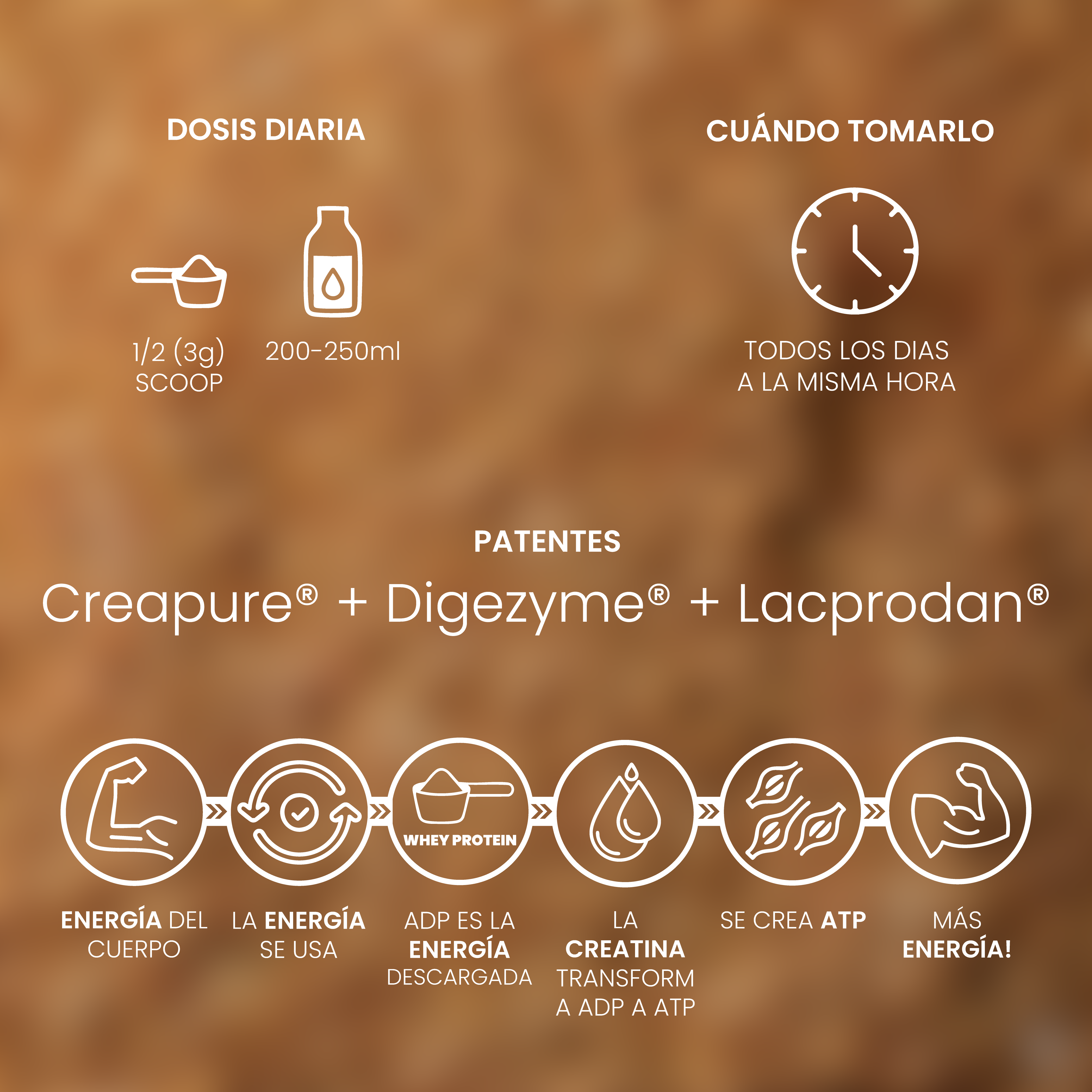 Whey Protein Peanut 1kg