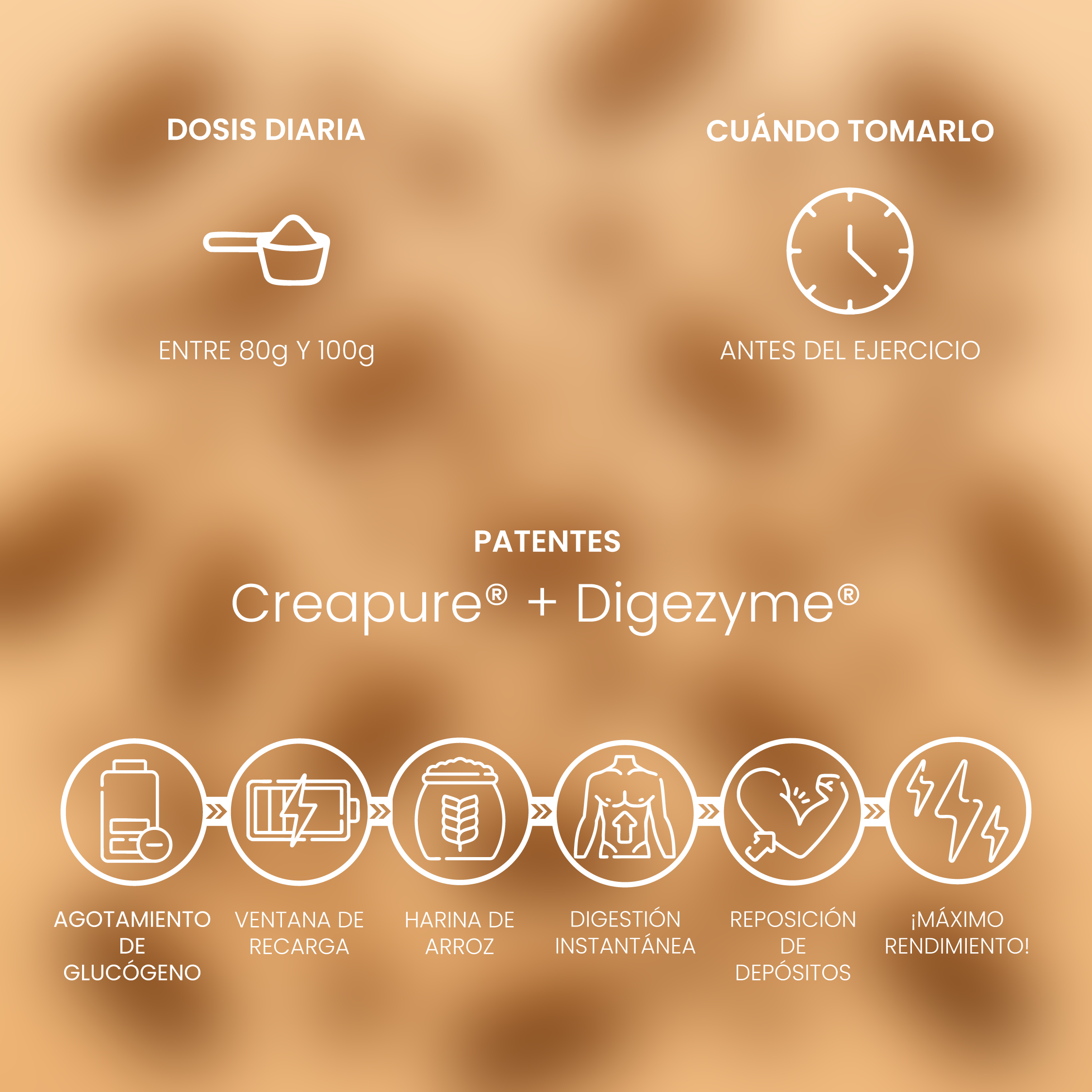 Rice Cream Speculoos 500g