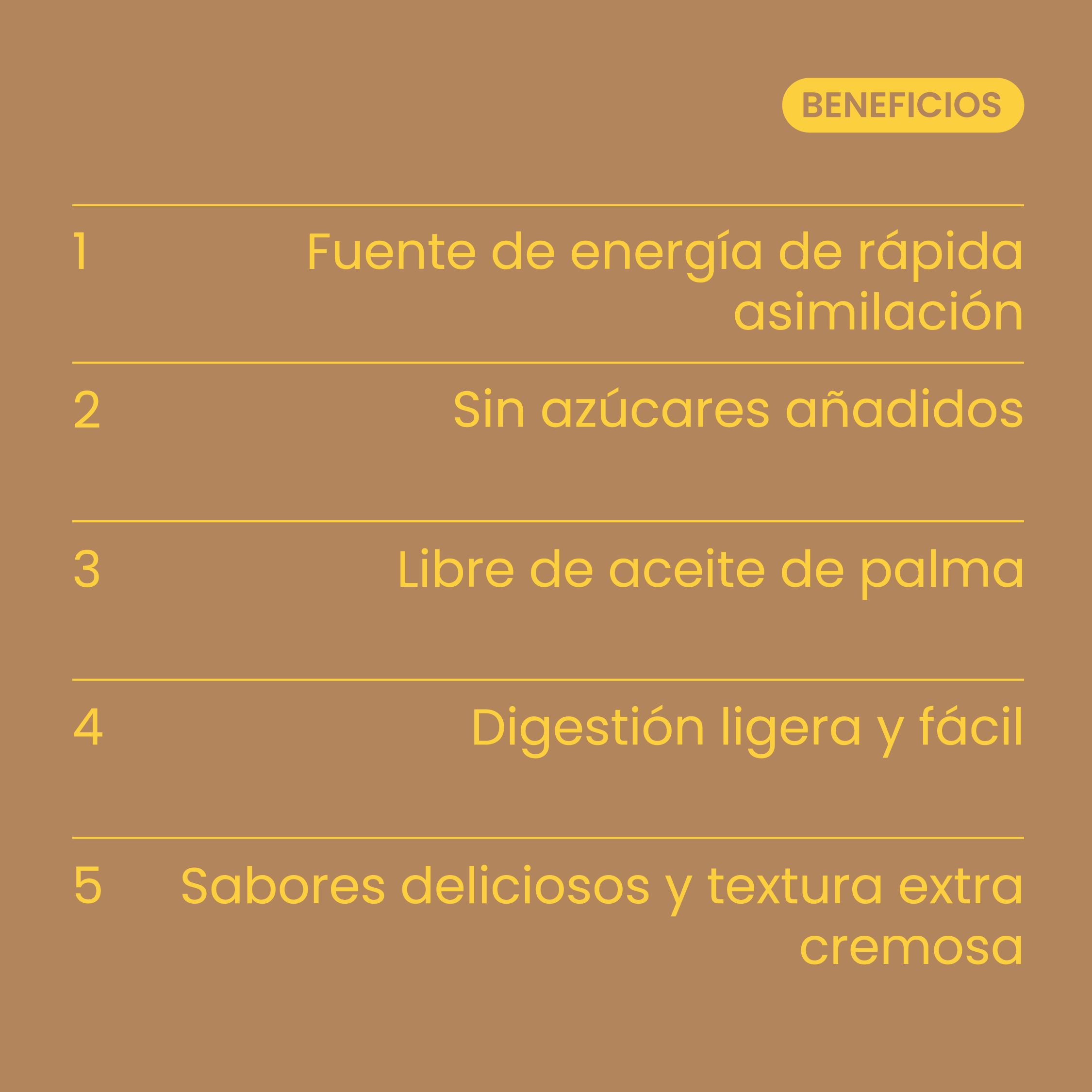 Rice Cream Choco Latte 500g