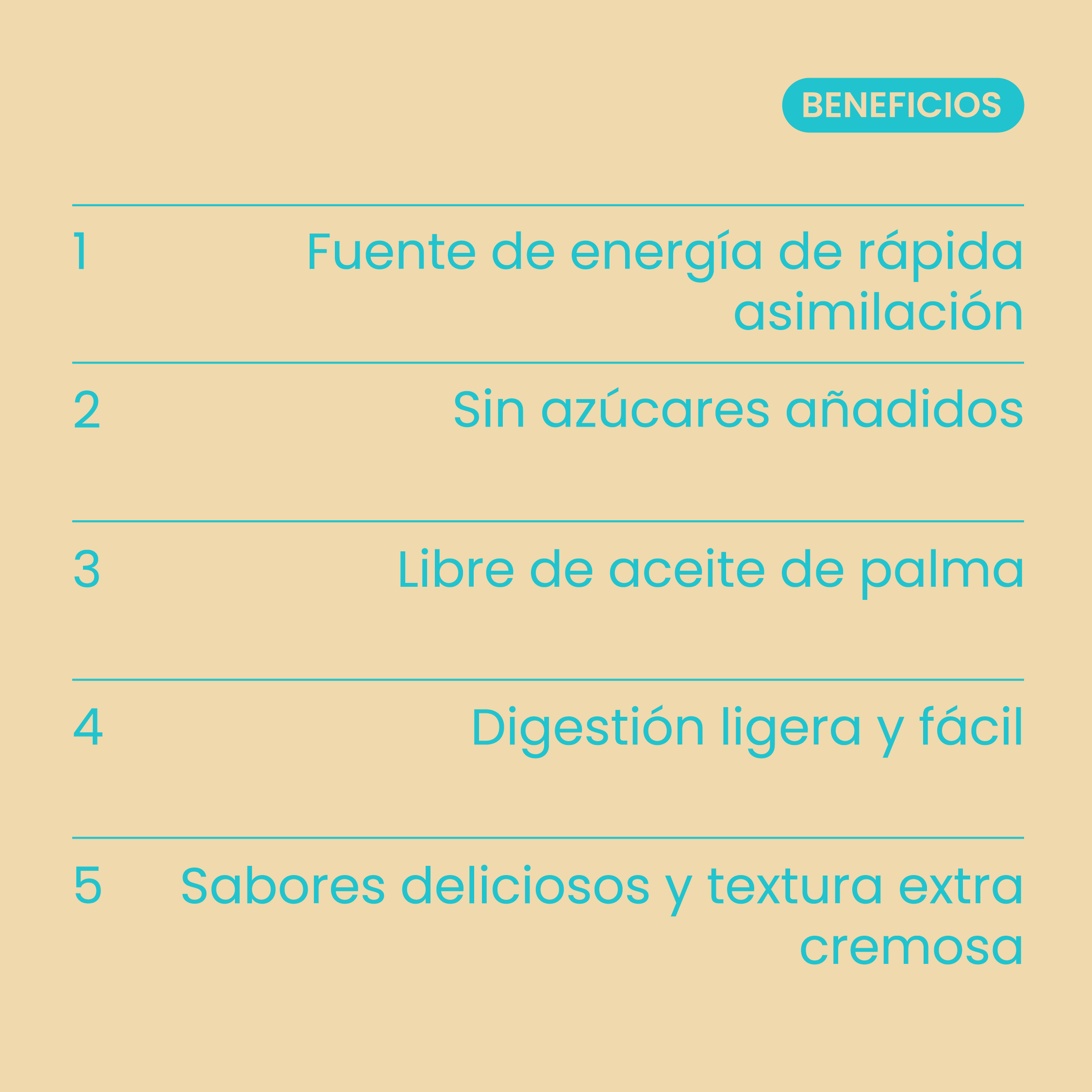 Rice Cream Cookie Dough 500g