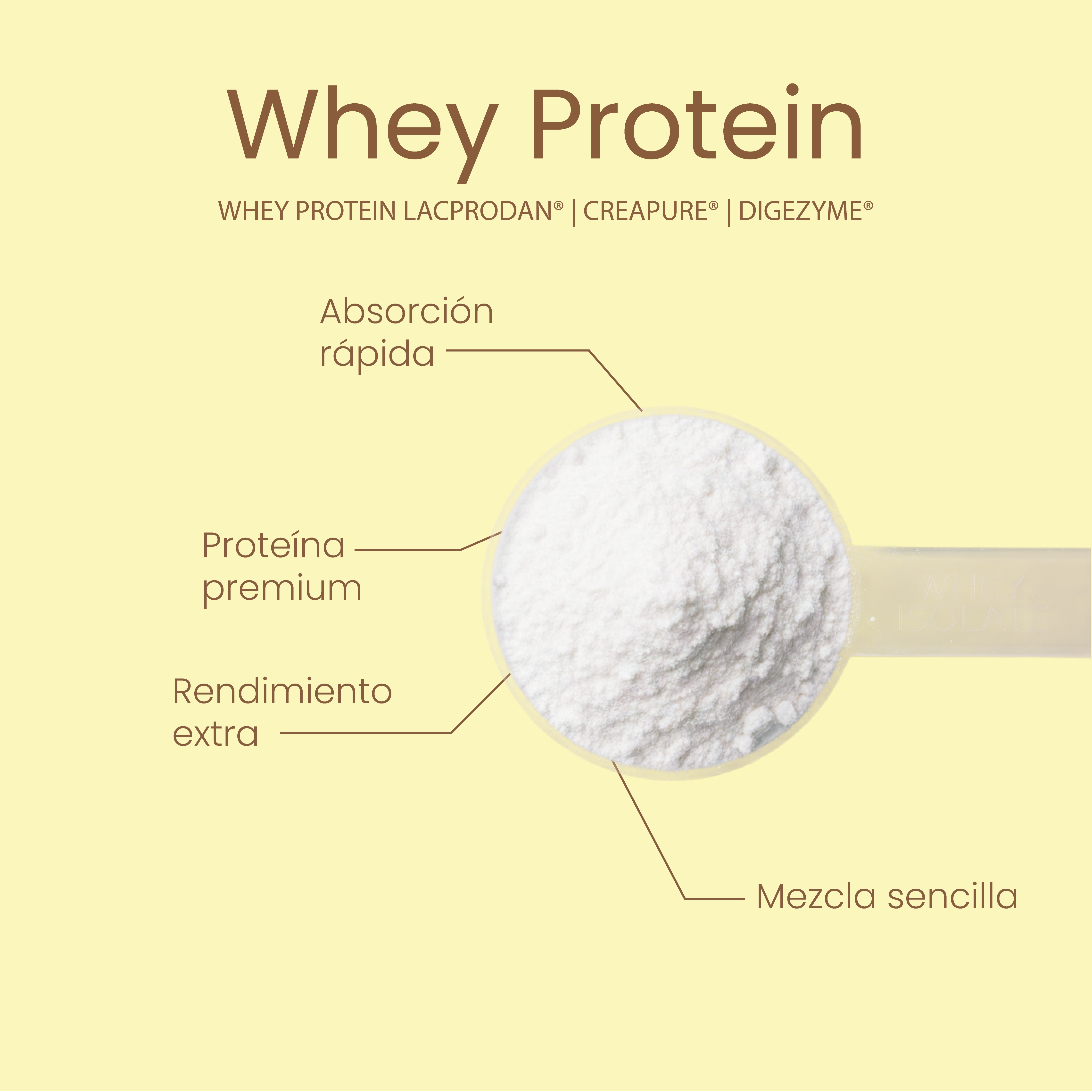 Whey Protein Cookie 1kg