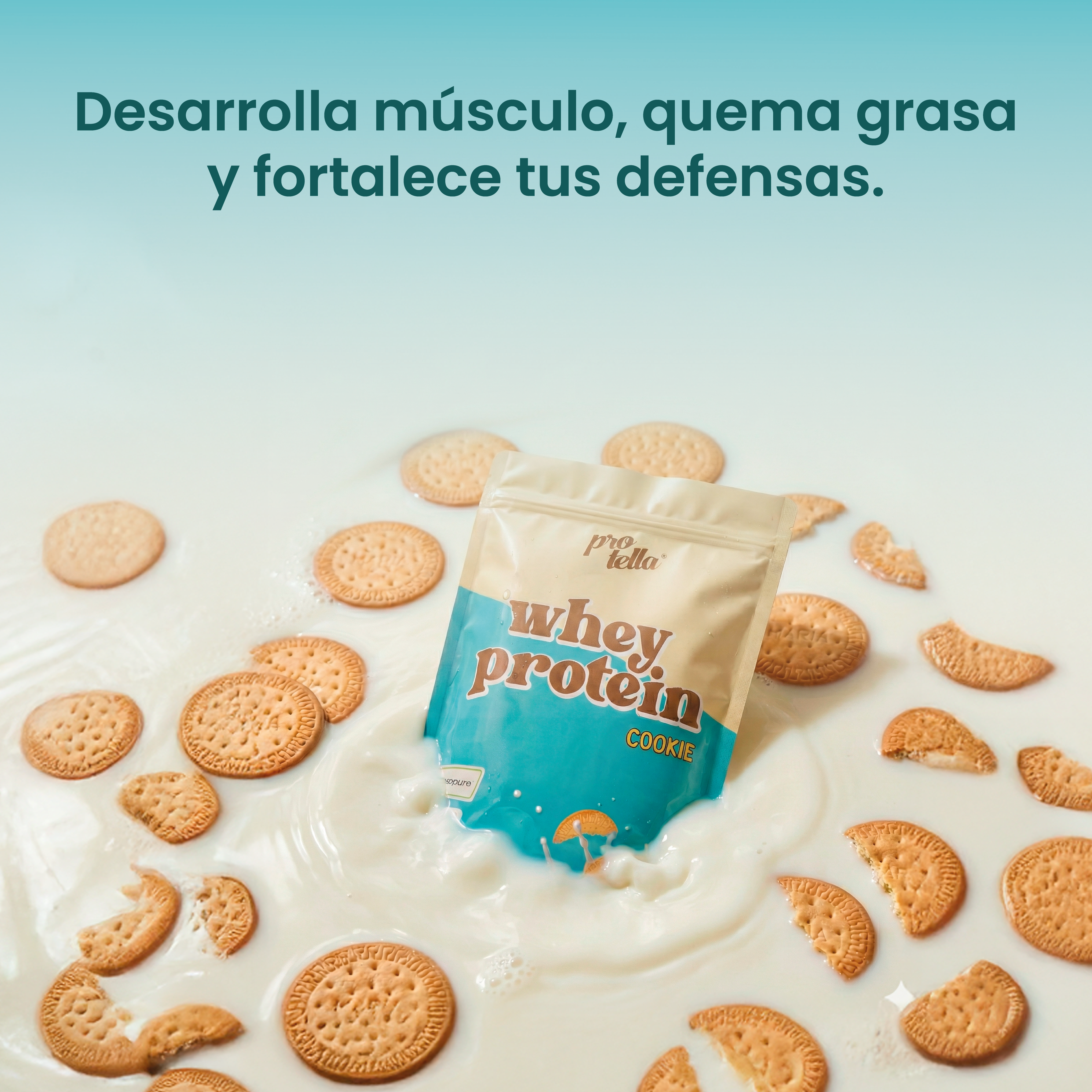 Whey Protein Cookie 1kg