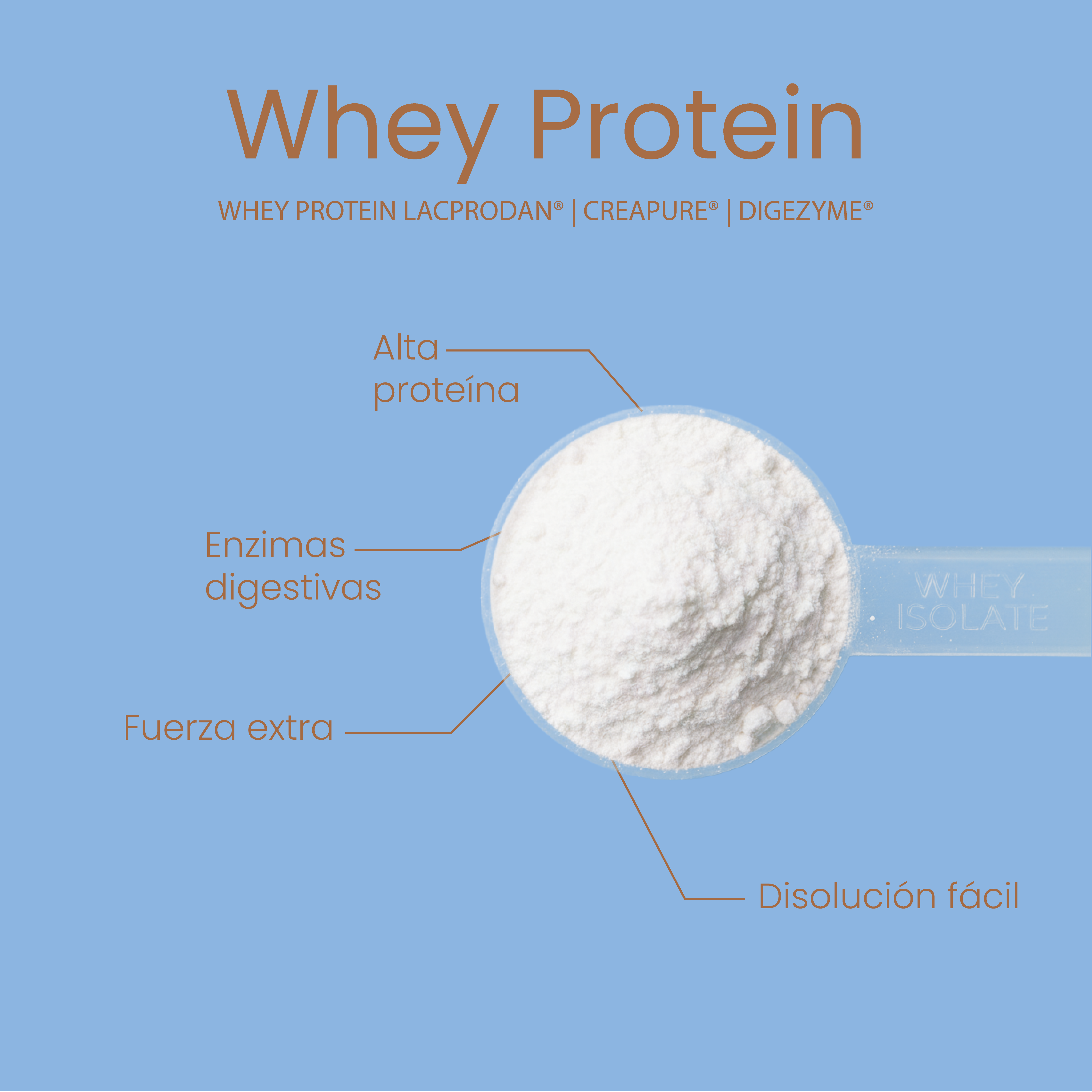 Whey Protein Leche Merengada 1kg